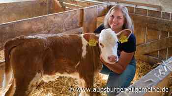 „Weil i des gern mog“: Jungbäuerin Martina Reichhold lebt in Stockensau Landwirtschaft mit Herz