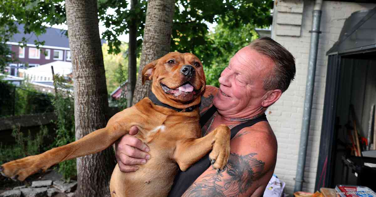 John (61) kan zijn hond Jay blijven voeden dankzij dierenvoedselbank: ‘Ze is mijn maatje voor het leven’