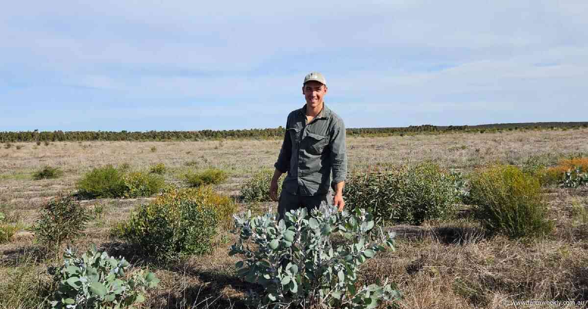 How British-born city student, Oscar Jones, found his calling on the land