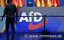 Trittin fordert Verbot von AfD-Landesverbänden