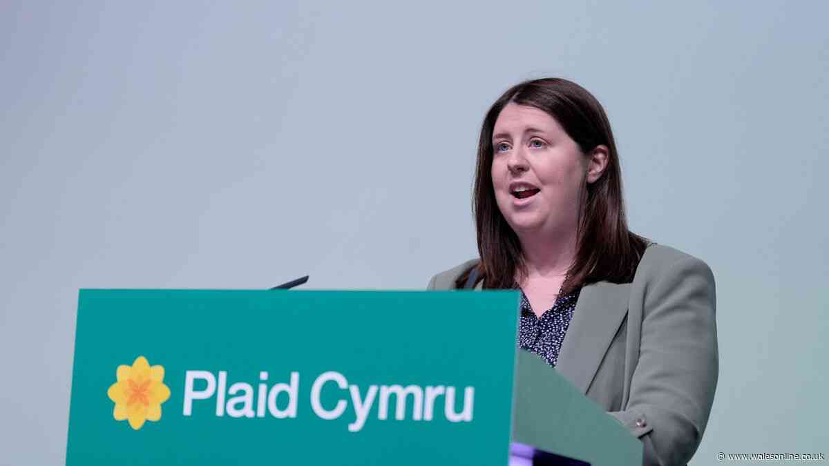 Politics was a family affair, but nobody expected her to be here - Mair Rowlands MS's journey from the dining table to the Senedd