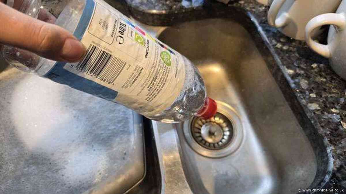 Households told to pour vinegar down the drain to avoid common problem in October