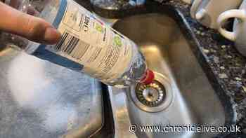 Households told to pour vinegar down the drain to avoid common problem in October