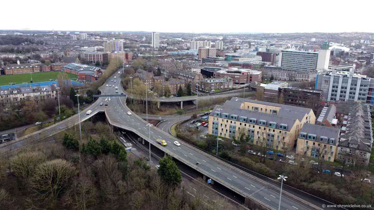 Newcastle drink-driver 'only realised how much alcohol he'd consumed after being arrested'
