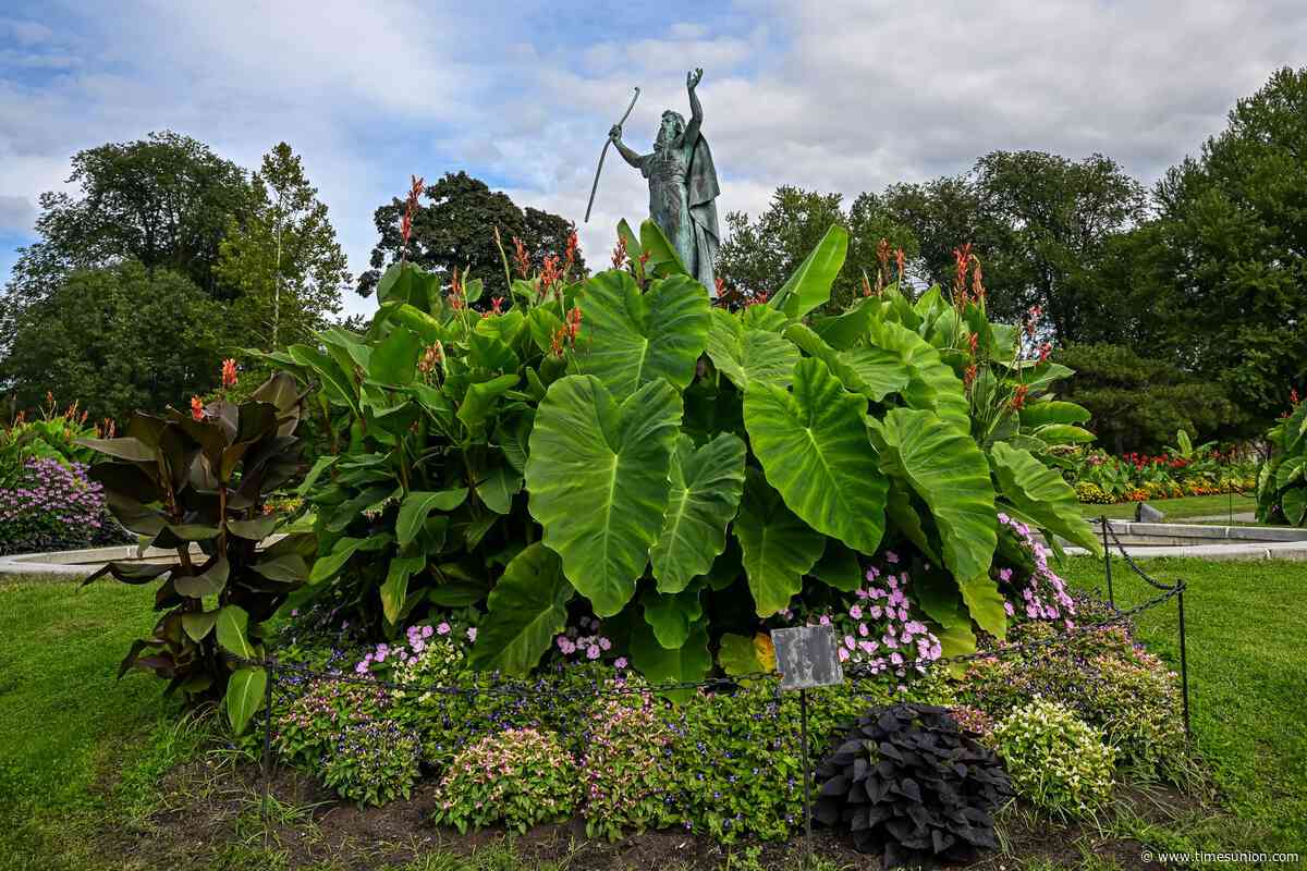 Beyond tulips: Washington Park’s summer gardens go tropical