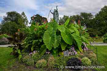 Beyond tulips: Washington Park’s summer gardens go tropical