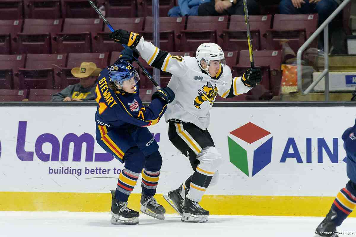 Sting lose 5-3 in Barrie