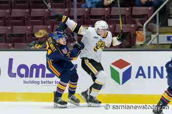 Sting lose 5-3 in Barrie