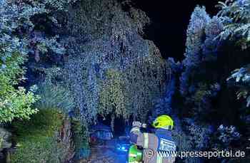 FW-DT: Kleinbrand an einer Gartenhütte