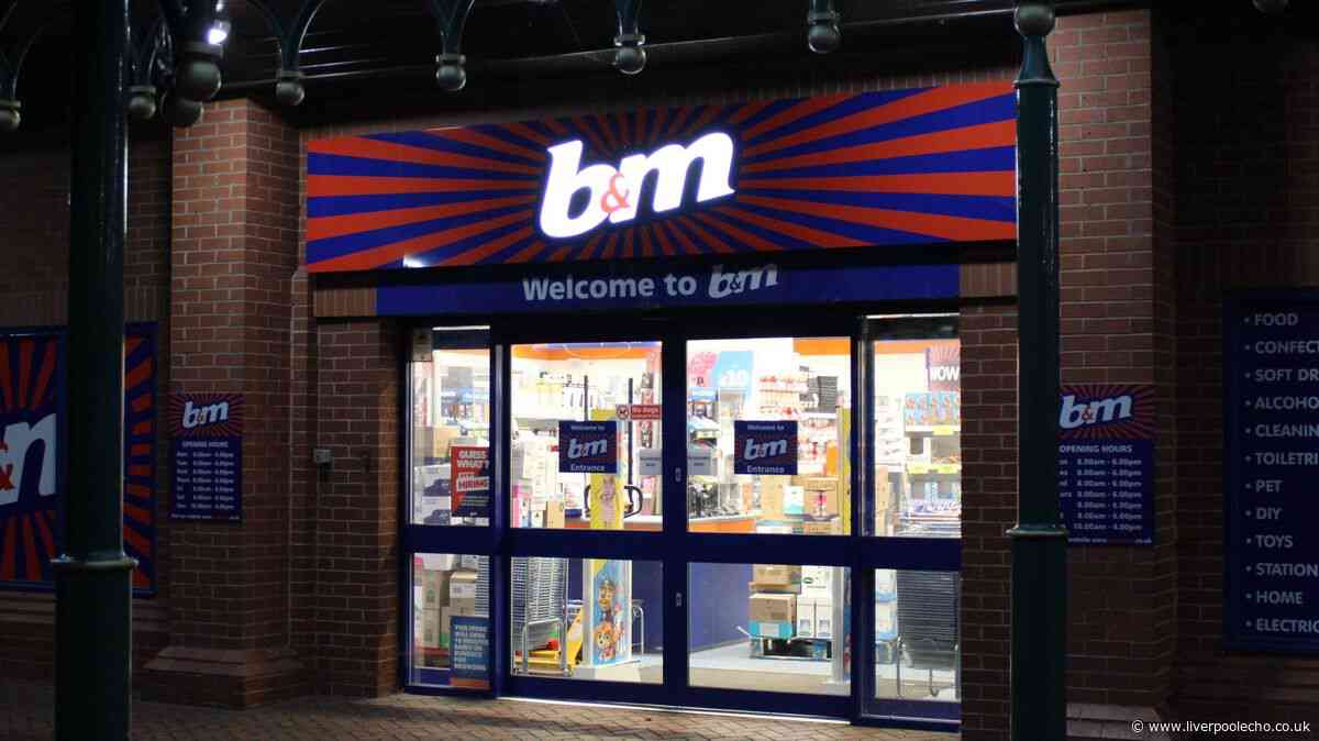 B&M's 17p-per-hour gadget keeps you warm at home without central heating