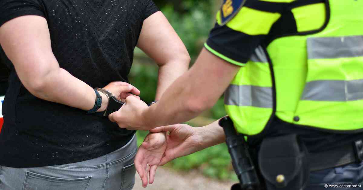 Jongens opgepakt voor beroving met geweld: één van hen komt uit Almere