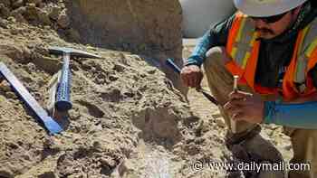 Is it a 'thunder beast' or a 'swamp rhino'? Workers make incredible discovery as they find remains of mysterious prehistoric creature at California construction site