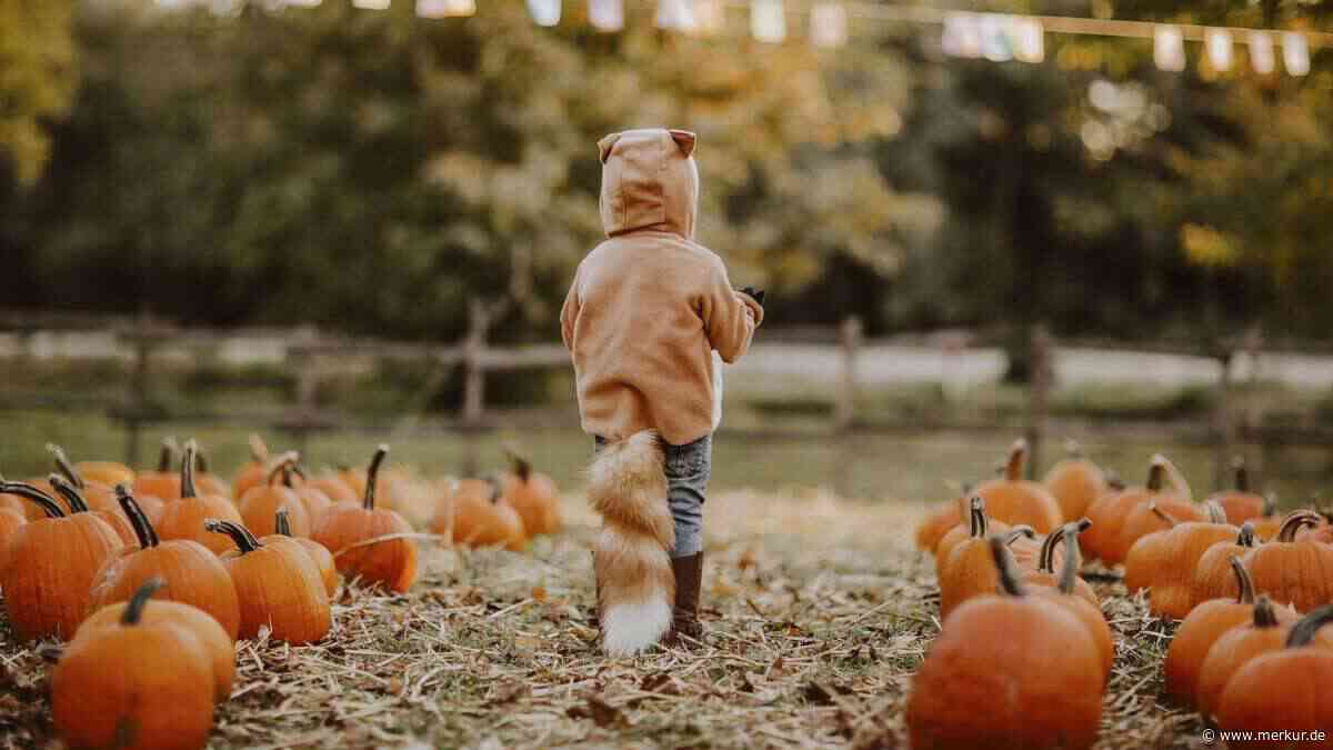 Mit diesen Outdoor-Aktivitäten wird der Herbst für Kinder zum Abenteuer