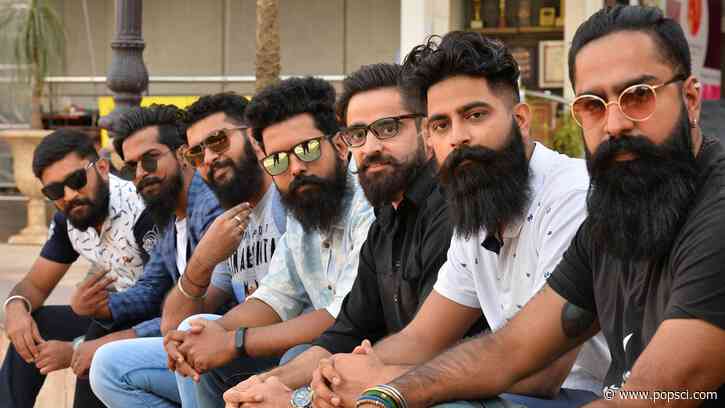 What’s the point of beards?