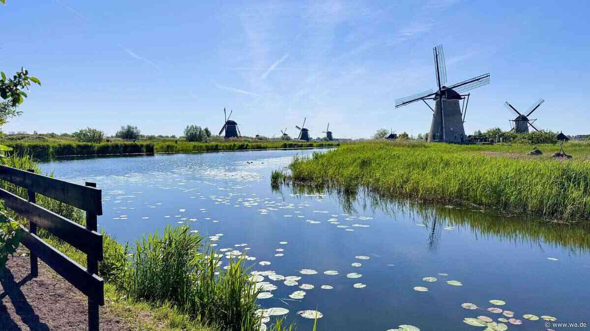 Kulturelles Highlight in den Niederlanden: Spaziergang entlang historischer Windmühlen