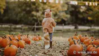 Mit diesen Outdoor-Aktivitäten wird der Herbst für Kinder zum Abenteuer