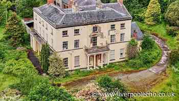 Welsh mansion sells at auction for less than price of a semi detached house but there's a catch