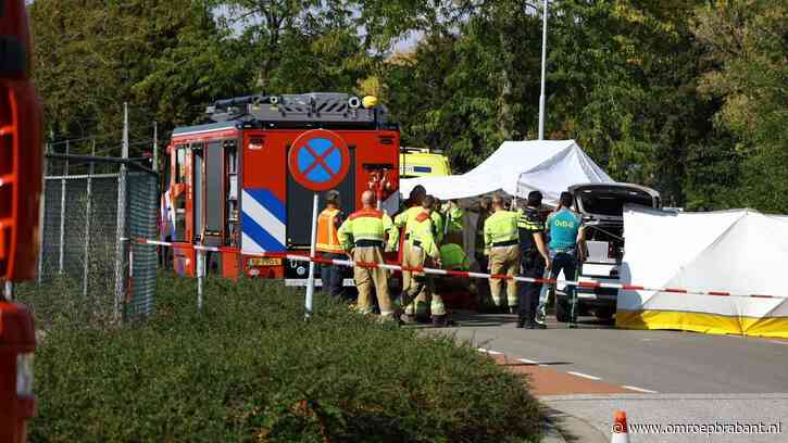 Motorrijder overleden na botsing tegen boom in Katwijk