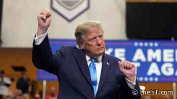 Trump vows GOP midterm victory: 'We're going to shove it up their a--'