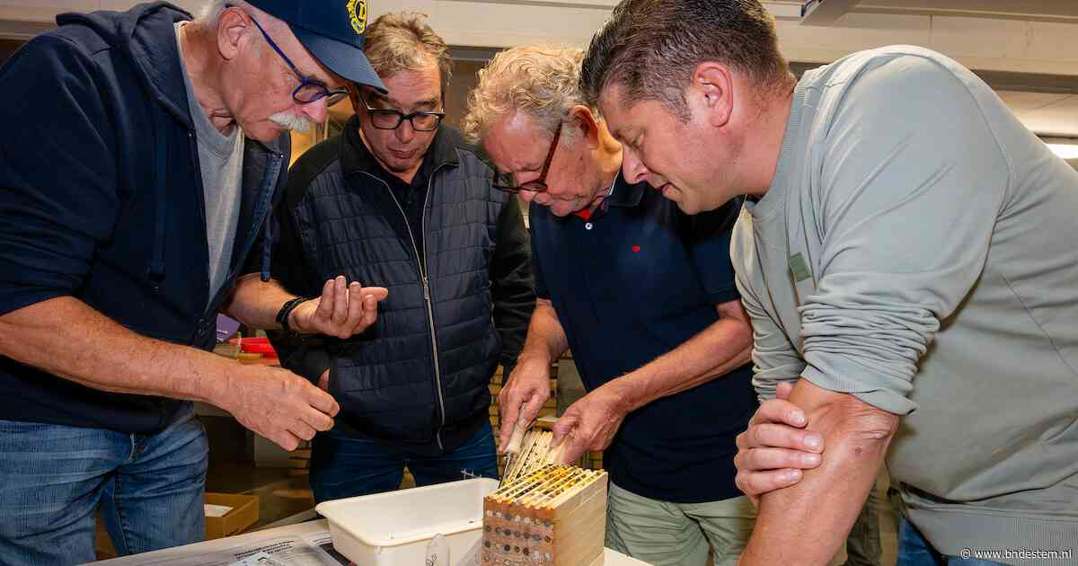 Zelfgebouwde bijenblokken leveren Lions in Halderberge eerste oogst op, maar geld verdienen moet nog