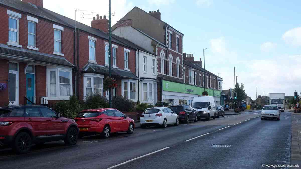 Plans for pet crematorium received unanimous approval for Skelton High Street facility