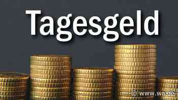 20.000 Euro auf dem Tagesgeldkonto: Wie viel davon könnte langfristig investiert werden?