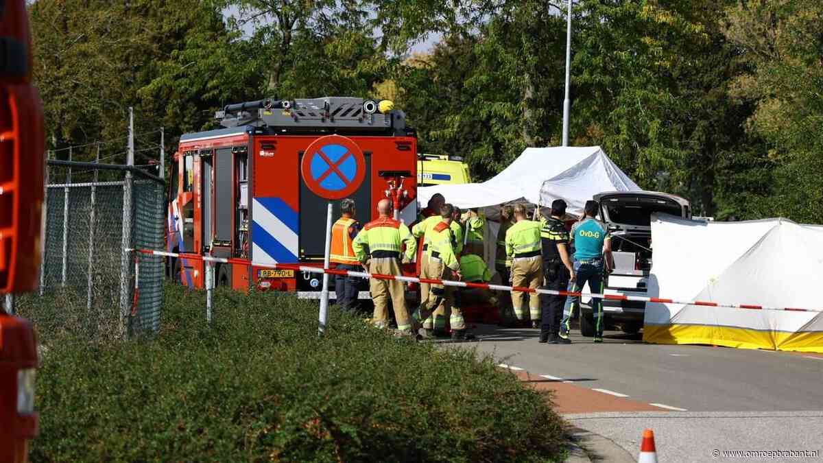 Motorrijder overleden na botsing tegen boom, broer probeerde te reanimeren