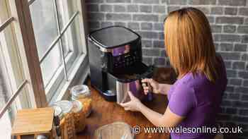 Air fryer owners warned against leftovers that 'could give you food poisoning'