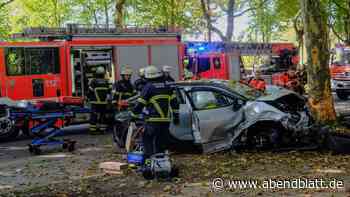 Frau prallt mit Toyota gegen einen Baum und wird schwer verletzt