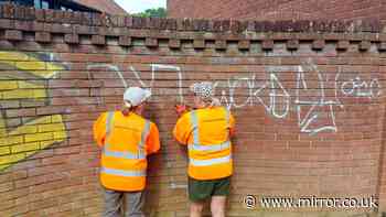 Police hunt mystery 'Wokesy' vandal spraying strange graffiti across town