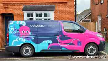 Octopus Energy-recommended £3 item helps keep bills low this autumn and winter