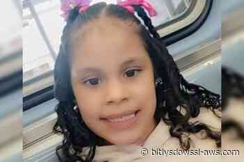 Asesinaron a puñaladas a una niña venezolana en Chicago