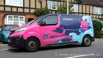 £3 item Octopus Energy recommends to help keep your energy bills low