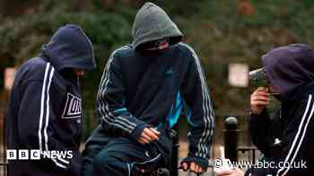 'Terrifying balaclava gangs' and 'CCTV in family home'
