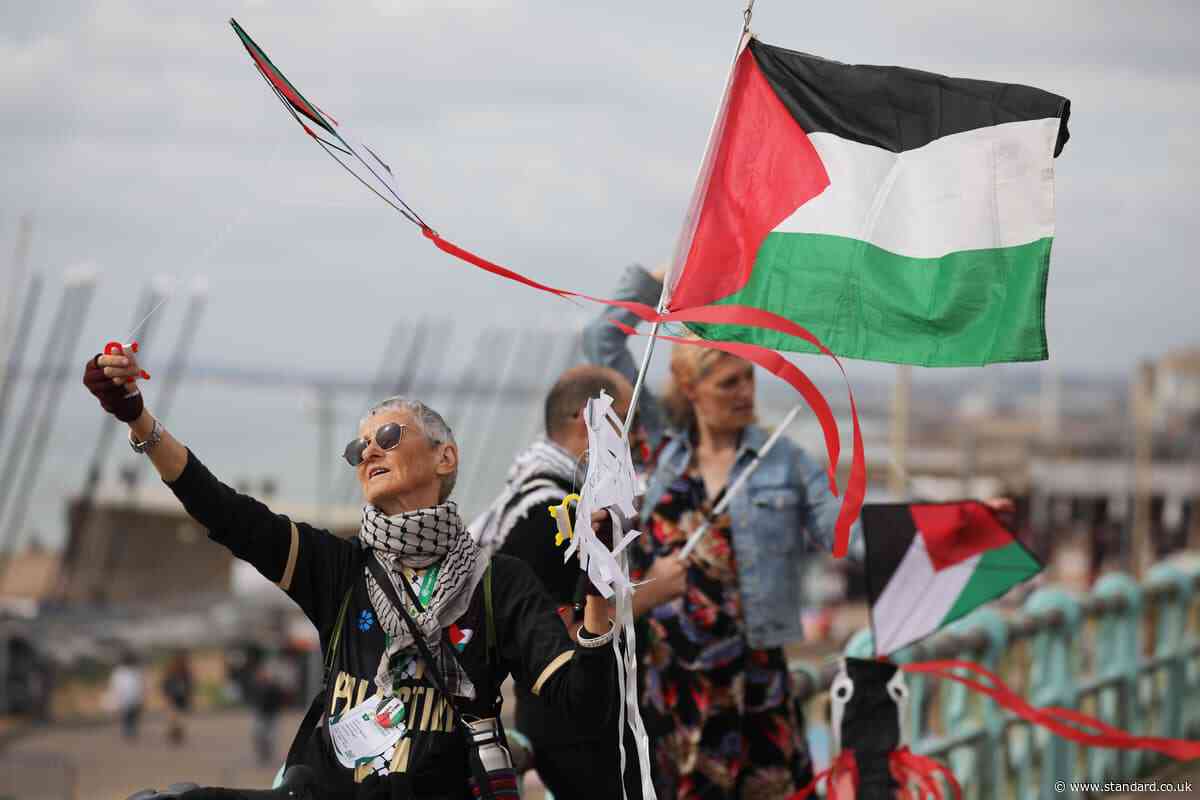 Green party members back controversial motion on Zionism and future of Palestine