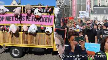 Honderden demonstranten op de Dam tegen dierenindustrie