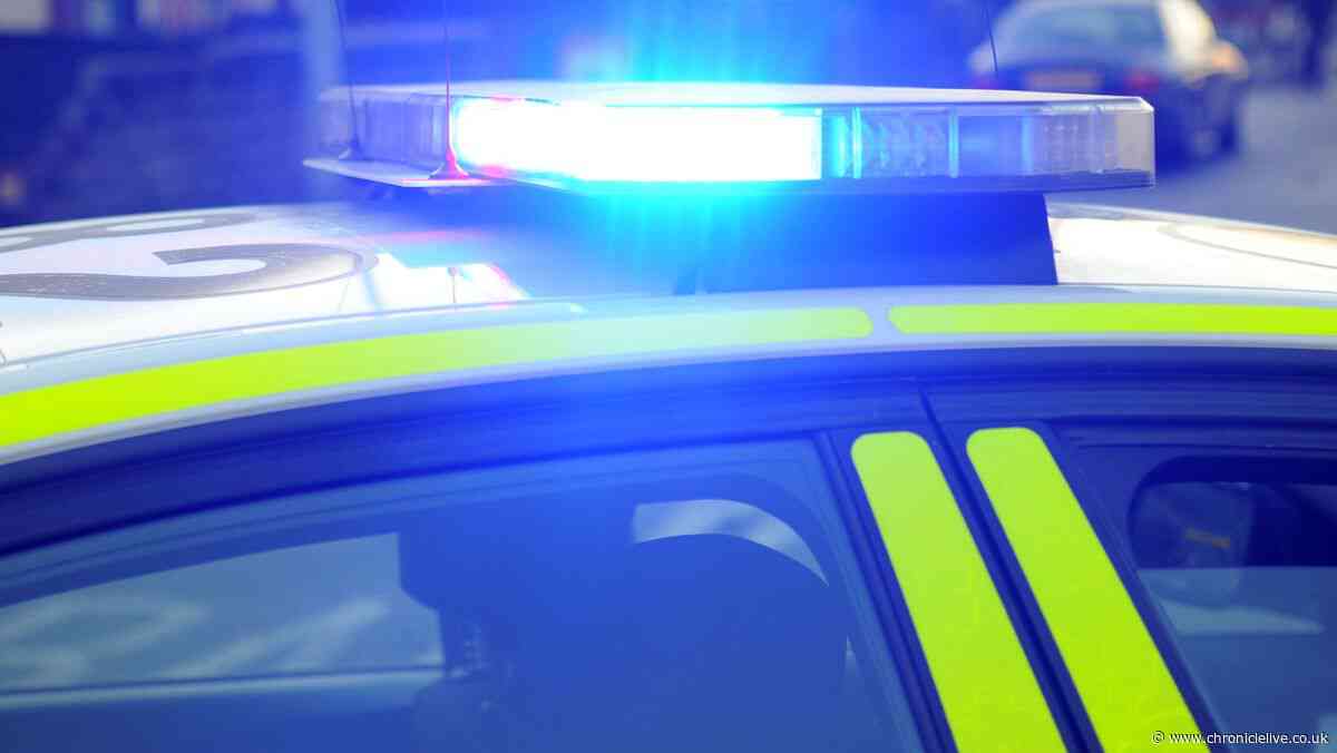 Masked raiders attack elderly woman in her North East home and steal jewellery