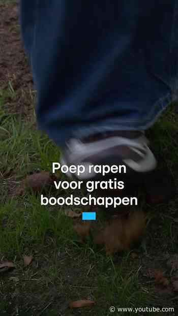 Hondenpoep rapen voor gratis boodschappen | RTL Nieuws