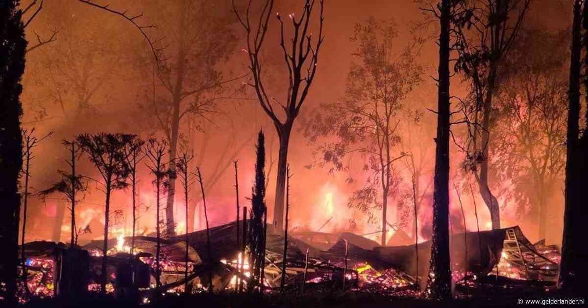 Nederlanders op camping Bella Italia vluchten voor grote brand: ‘Het was één grote vuurzee’