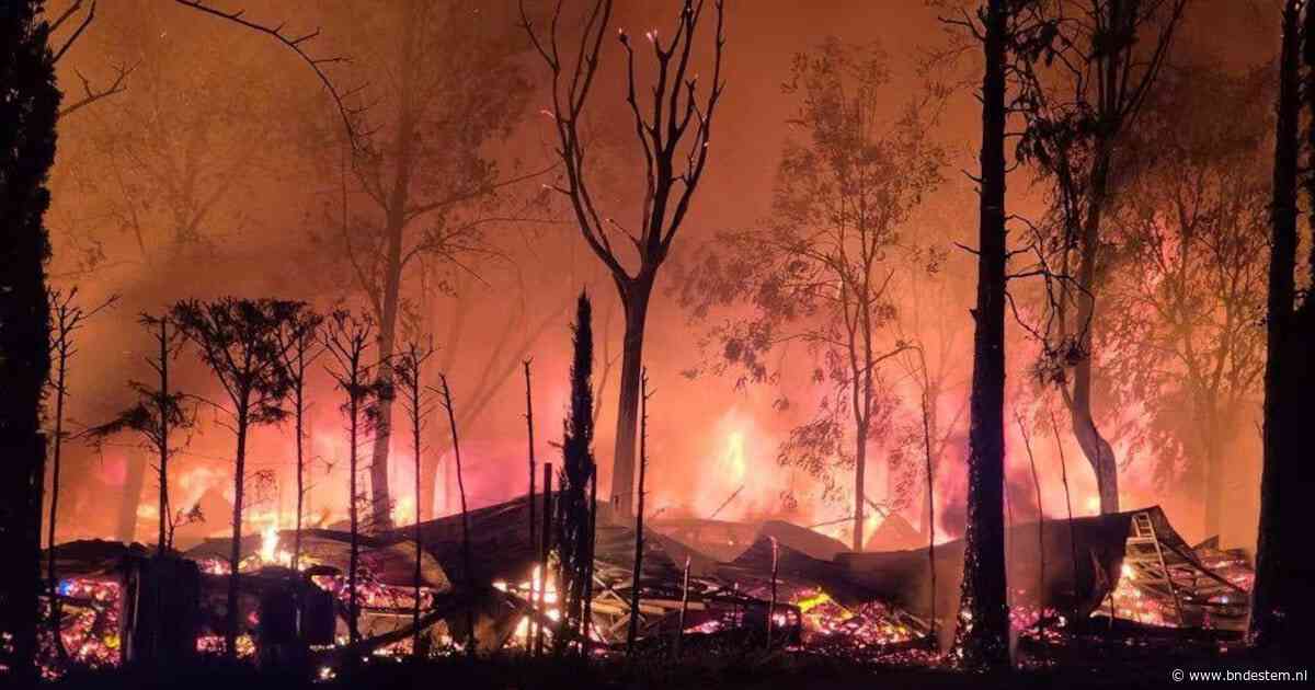 Nederlanders op camping Bella Italia vluchten voor grote brand: ‘Het was één grote vuurzee’
