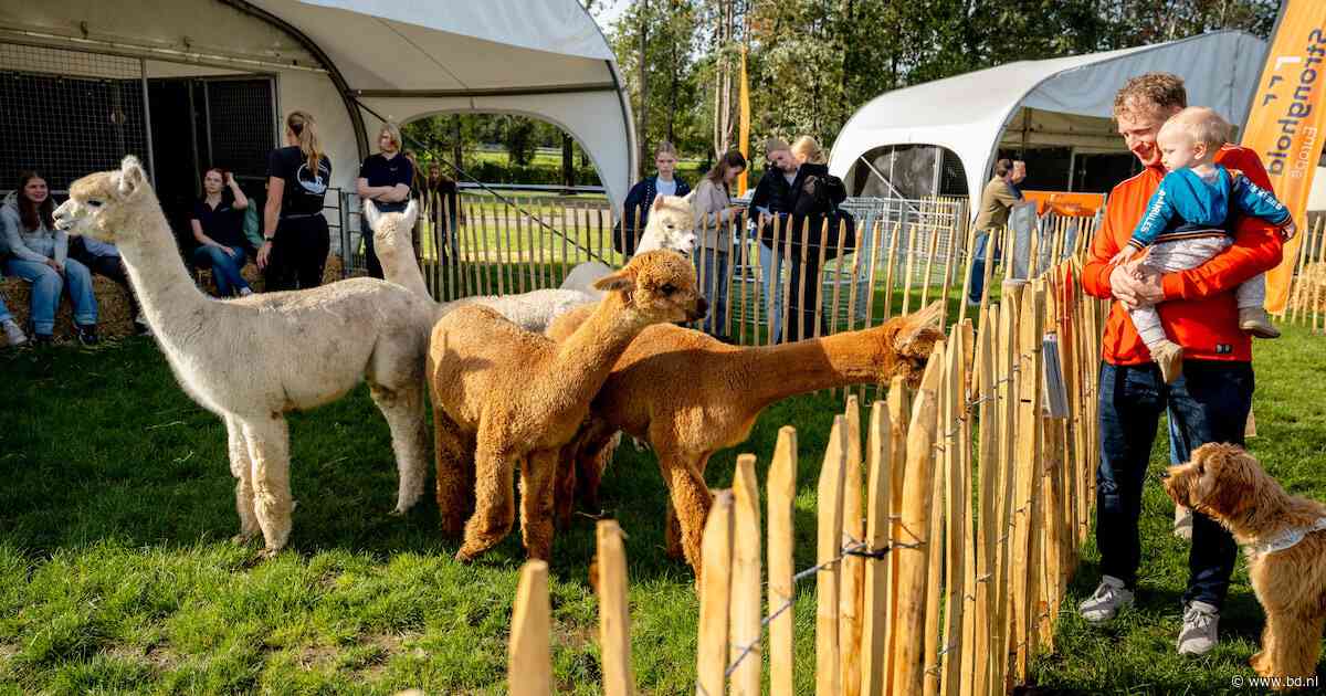 Waar dierenliefde begint: op Animal Event draait het niet alleen om kijken