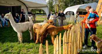 Waar dierenliefde begint: op Animal Event draait het niet alleen om kijken