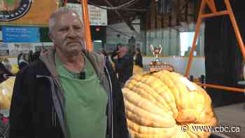 Gigantic gourd smashes Manitoba's record for heaviest pumpkin