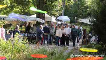 „Das ist ein super Markt“: Herbstzauber lockt viele an