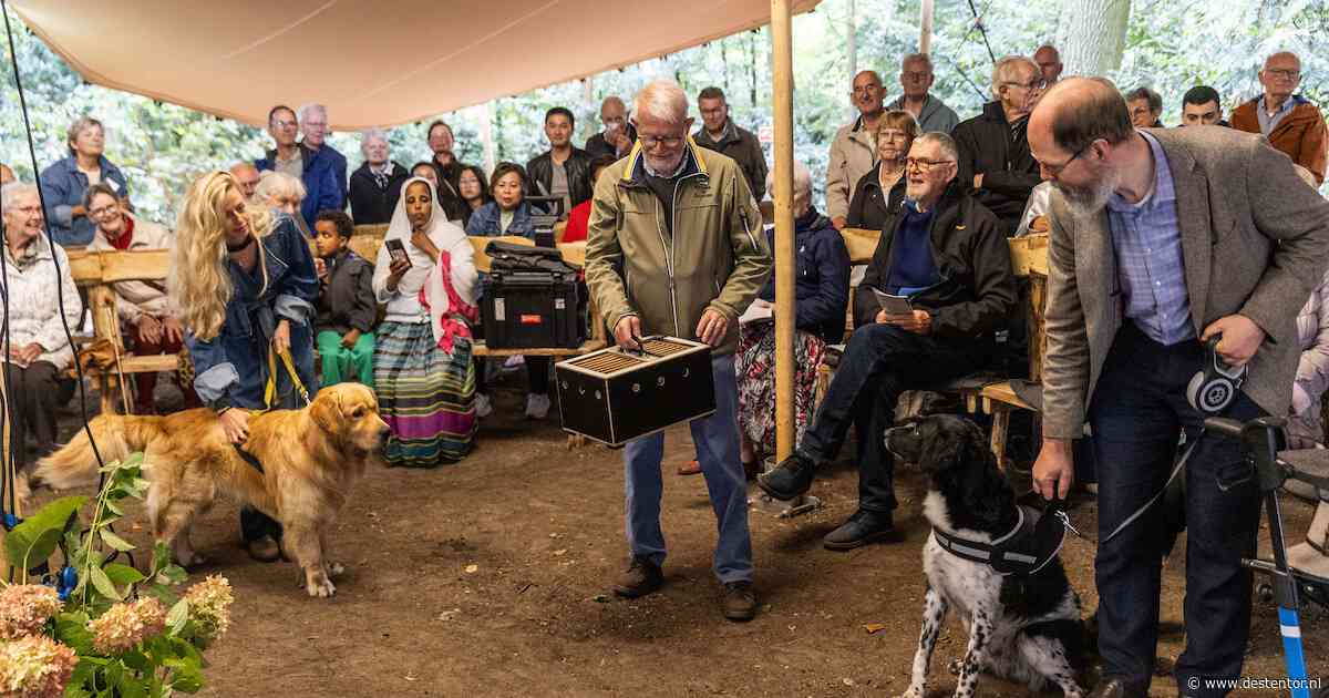 Zes honden, twee duiven en 26 schapen gezegend in Schalkhaar: ‘Het zijn mijn baby’s’