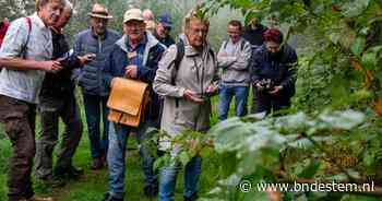 Paddenstoelen, mist en een moordverhaal: deze excursie in Oudland heeft het allemaal