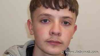 Police appeal to find missing boy, 15, who hasn't been seen for three days