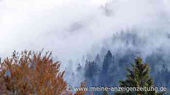 Krasser Temperatursturz in Bayern erwartet: Exakter Tag klar, wann der Herbst voll hereinbricht