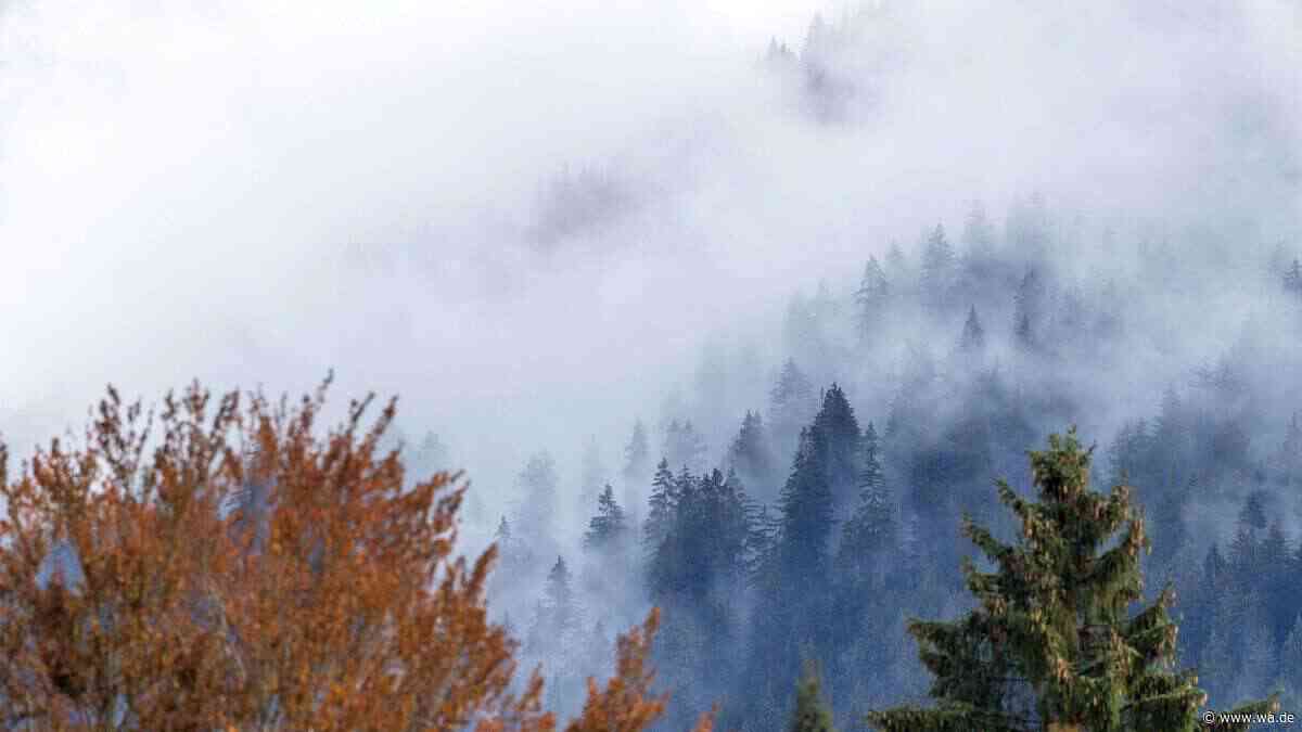 Krasser Temperatursturz in Bayern erwartet: Exakter Tag klar, wann der Herbst voll hereinbricht