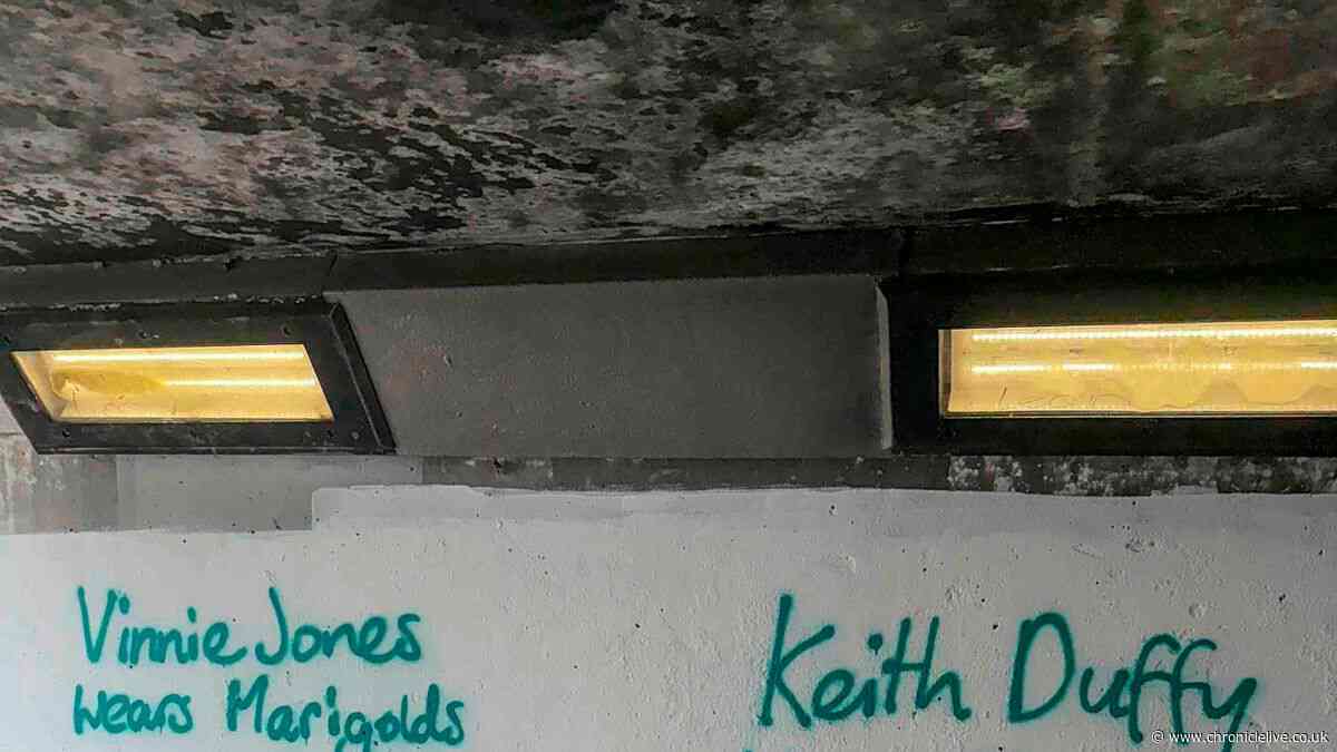 Identity of 'relentless' celeb-obsessed graffiti artist still a mystery as West Denton community speculates